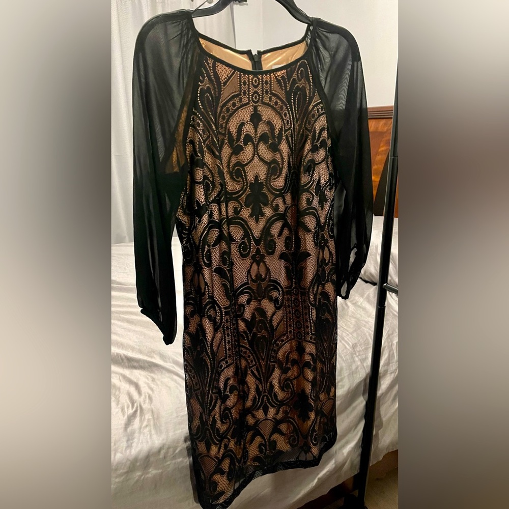Elegantly frame • romantic • lace • sheath • polished